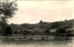 ROSNY SUR SEINE PANORAMA - Rosny Sur Seine