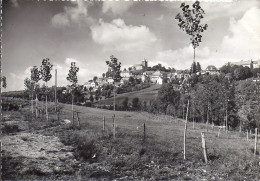 LAGUIOLE    VUE GENERALE    PHOTO EPREUVE AVANT LA CARTE POSTALE - Laguiole