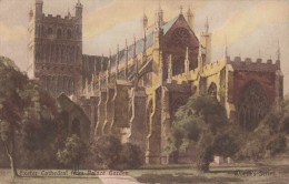 1900 CIRCA EXETER CATHEDRAL FROM PALACE GARDEN - Exeter