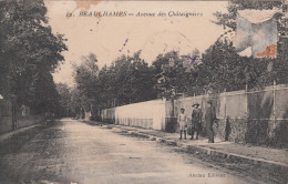 95 - BEAUCHAMPS / AVENUE DES CHATAIGNIERS - Beauchamp