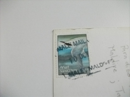 STORIA POSTALE FRANCOBOLLO COMMEMORATIVO UCCELLI BIRD MALDIVE BANDOS MICHEL FRIEDEL  PALME - Maldivas