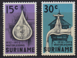 1250(8). Suriname, 1972, MNH (**) Michel 616-617 - Surinam