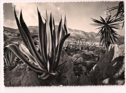 -- MONACO: Jardin Exotique: Agave Americana, Yucca En Fleur Et Vue Sur La Ville - Cpsm - - Exotic Garden