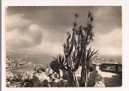 -- MONTE-CARLO:  La Principauté De  Monaco  Vue à Travers Les Cereus Et Yuccas Du Jardin Exotique  - Cpsm - - Exotic Garden