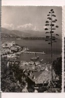 -- MONACO:  Vue Sur Le Port - Agave Et Yuccas En Fleurs - Cpsm - 1958 - Timbre 15F Rainier - - La Condamine
