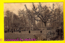 JARDIN HOF MIDDELBARE BEROEP-SCHOOL KOSTSCHOOL ZUSTERS Van O.L.V. WAREGEM ECOLE D AGRICULTURE PENSIONNAT Waereghem 343 - Waregem