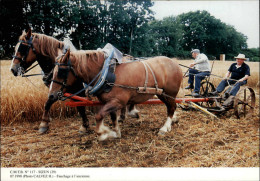 29 - SIZUN - Attelage Cheval - Chevaux De Trait - Fauchage - CMTB - Sizun