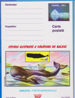 WHALES PYSETER MACROCEPHALUS ROMANIA POSTAL STATIONERY - Baleines