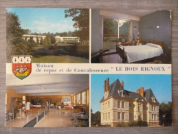 SAINT ETIENNE DE MONTLUC  (44). MULTIVUES : " LE BOIS RIGNOUX " . ANNEES 1980 - Saint Etienne De Montluc