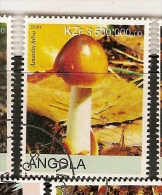 Angola (78) - Angola