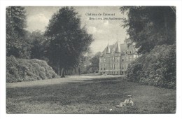 CPA - Château De CALMONT - BERCHEM LEZ AUDENAERDE - Kasteel  // - Kluisbergen