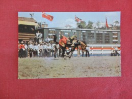 Canada > Alberta> Calgary  Bucking Horses Annual Stampede  --ref 1761 - Calgary