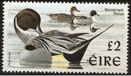 Ireland - 1998 Pintail Duck (birds Definitive) £2 MNH **   SG 1061  Sc 1111 - Ungebraucht