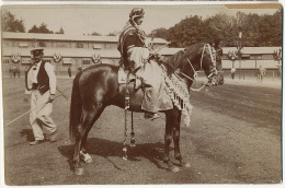 Real Photo Pur Sang Turc Syrien Race Arabe Cavalier Photo Epaisse Hippism - Liban