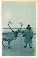 POLAIRE ... ALASKA ... CERCLE ARCTIQUE ... UN VIEUX BRISCARD - Amérique