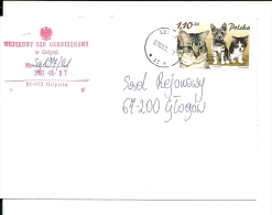 Lettre  Pologne 2002  (243)   Chats - Covers & Documents