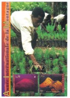 RTY107 UNO GENF  2002  MICHL NR. 441 + 443  MAXIMUM-MAXI CARD N° 77 - Maximum Cards