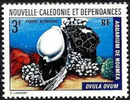 NEW CALEDONIA 3 FRANCS AQUARIUM SHELL OVULA OVUM MARINE LIFE SET OF 1 MINT 1990's SG621 READ DESCRIPTION !! - Ongebruikt