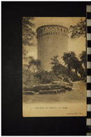 CP, 02, COUCY Château De Coucy Le Donjon N° 15 Voyagé En 1904 - Autres & Non Classés