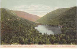 Franconia Notch New Hampshire, Echo Lake, Profile House, C1900s Vintage Postcard - White Mountains