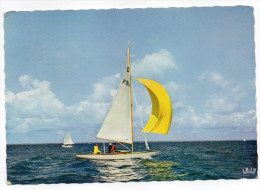 Sport--Voile--Bassin D'Arcachon--Les Voiliers (animée) Cpsm 15 X 10 N° 79 éd Iris--cachet CAP-FERRET--33 - Vela