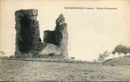 PEYREHORADE - Ruines D'Aspremont - Peyrehorade