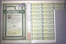 LIQUIGAS - SOCIETA' PER AZIONI  /   TITOLO  AZIONARIO DA 5  AZIONI  _  1960 - Electricity & Gas