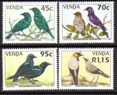 Venda 1994 Starlings Birds Set Of 4, MNH - Venda