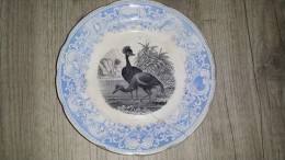 ASSIETTE PARLANTE OPAQUE DE SARREGUEMINES  Faunes Et La Fleurs Les Grues Cendré - Sarreguemines (FRA)