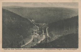 AK Gabrielahütten Gasthaus Zur Böhmischen Schweiz Gabrielina Hut Natzschungtal Bei Brandau Brandov Olbernhau Kallich - Sudeten