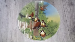 ASSIETTE Au Décor OISEAU DU PRINTEMPS SUR UNE BRANCHE Non Signé - Creil Montereau (FRA)