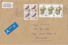 1453FM- MAUVIS BIRD, FROG, STAMPS ON COVER, 2000, BELGIUM - Cartas & Documentos