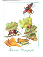 Germany - Pfingsten - Maikäfer - May Beetle - Käfer - Marienkäfer - Ladybird - Nice Stamps - Pentecoste