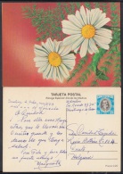 1983-EP-12 CUBA 1983. Ed.133g. MOTHER DAY SPECIAL DELIVERY. POSTAL STATIONEY. FLOWERS. FLORES. USED. - Usados