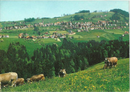 Rehetobel - Dorf Mit Sägholz              1983 - Rehetobel