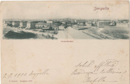 C243 !!! SENIGALLIA PANORAMA 1901 F.P. !!! - Senigallia