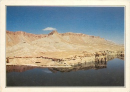 CPSM Afghanistan-L'Hindu Kuch Et La Mosquée D'Ali   L1876 - Afghanistan