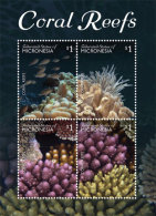 Micronesia 2015 Marine Life, Coral Reef - Micronésie
