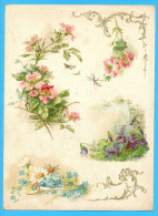 KLEIN?? VICTORIAN SCRAP,  ALBUM CARD, DECOUPIS, CHROMOS, FLOWERS,WILD ROSES, GOLDPRINT DETAILS, 16.5 X 22.5 Cm - Fiori