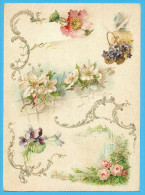 KLEIN?? VICTORIAN SCRAP,  ALBUM CARD, DECOUPIS, CHROMOS, FLOWERS, APPLE BLOSSOM, ROSES, GOLDPRINT, 16.5 X 22.5 Cm - Bloemen