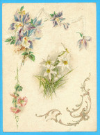 KLEIN?? VICTORIAN SCRAP,  ALBUM CARD, DECOUPIS, CHROMOS, FLOWERS,NARCISUS, ORCHIDS, GOLDPRINT, 16.5 X 22.5 Cm - Flowers