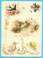 KLEIN?? VICTORIAN SCRAP,  ALBUM CARD, DECOUPIS, CHROMOS, FLOWERS, FARMHOUSE, SWALLOW BIRD, GOLDPRINT, 16.5 X 22.5 Cm - Fiori