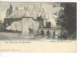 CP Château De Steenokkerzeel Steen-Ockerzeel Colorisé Vers 1904 Nels - Steenokkerzeel