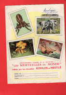 Protège Cahier - "Les Merveilles Du Monde" éditée Par Les Chocolats KOHLER Et NESTLE - Cocoa & Chocolat