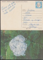 1990-EP-6 CUBA 1990. Ed.148c. MOTHER DAY SPECIAL DELIVERY. POSTAL STATIONERY. CARTULINA MATE. FLOWERS. FLORES. USED. - Brieven En Documenten