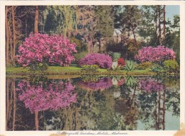 Beautiful Lake Bellingrath Gardens Mobile Alabama - Mobile