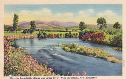 The Presidential Range And Israel River White Mountains New Hampshire - White Mountains