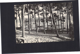 Bassin D'Arcachon . Ares . Vue Sur La Forêt Et Le Bassin . Circulée . - Arès