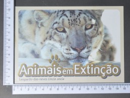 LEOPARDO-DAS-NEVES - ANIMAIS EM EXTINÇÃO -  (Nº11546) - Tijgers