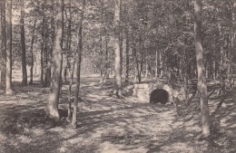 Cp , 78 , MARLY-le-ROI , Forêt , Le Pont Des Soupirs - Marly Le Roi